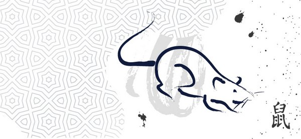 Крыса